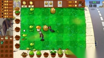 植物大战僵尸金铲铲版图9