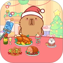 偶像养成日记游戏