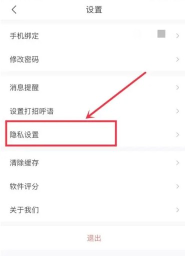 隐私设置选项界面示意图