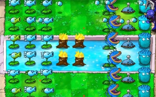 植物大战僵尸寒冰版(2)