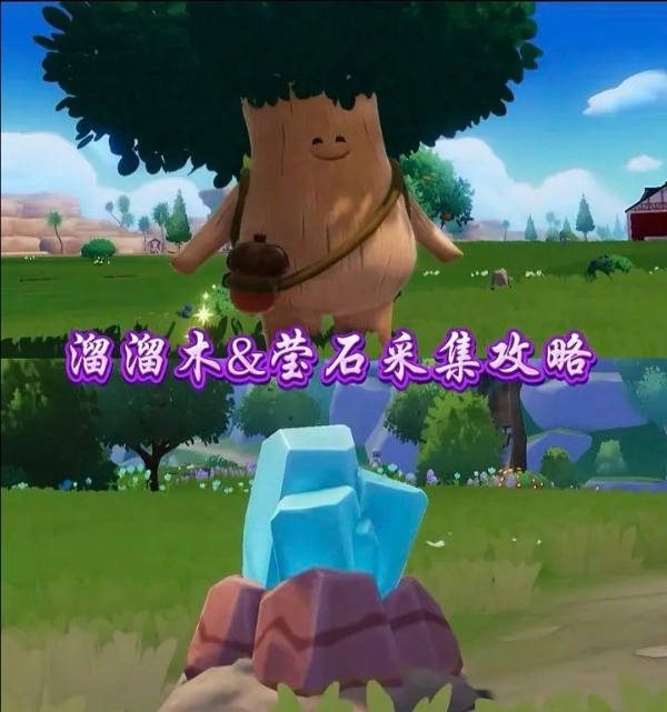 11月6日在心动小镇里溜溜橡木及无暇荧石的所在位置