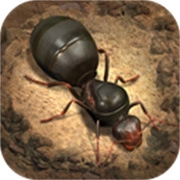 小小蚁国国际服