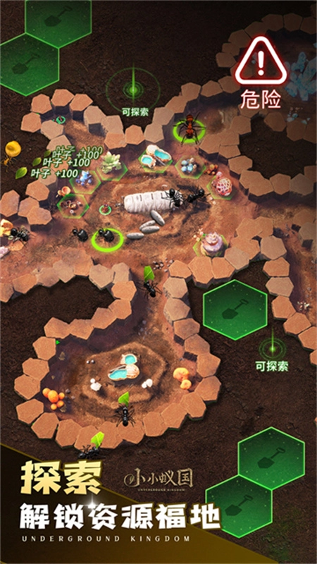 小小蚁国国际服(2)