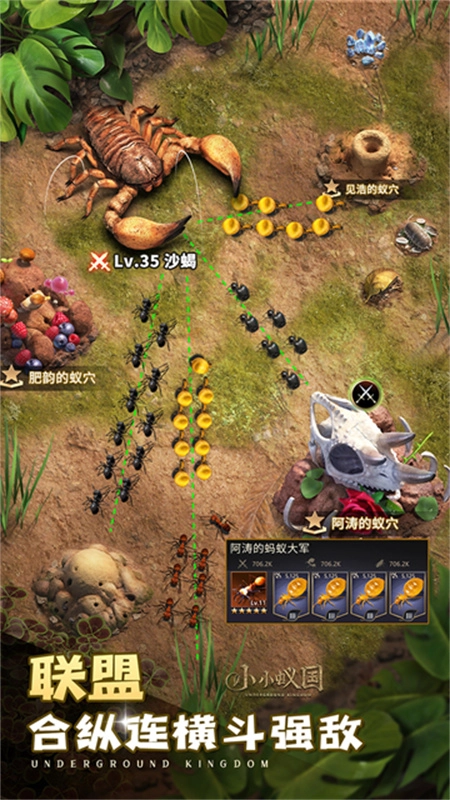 小小蚁国国际服(5)