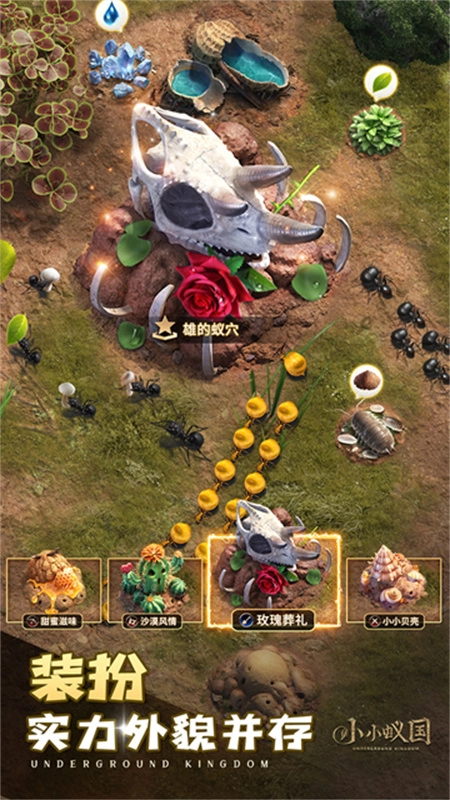 小小蚁国国际服(4)