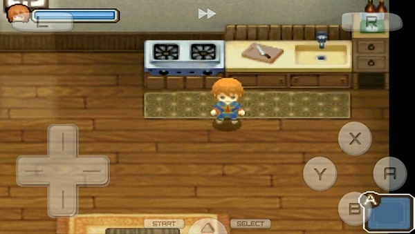 牧场物语双子村手机版图3