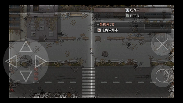 残世界的鸢尾花