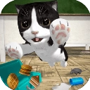 猫咪模拟器中文版