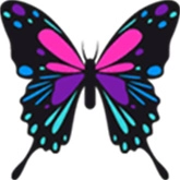 流星蝴蝶剑单机版