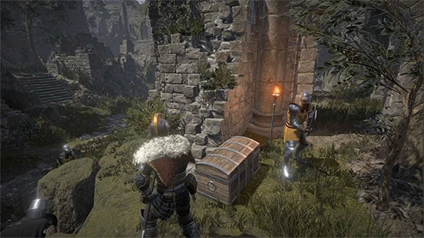 凡尔赛法环手机版(4)