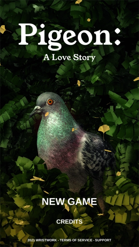 鸽子爱情故事图4