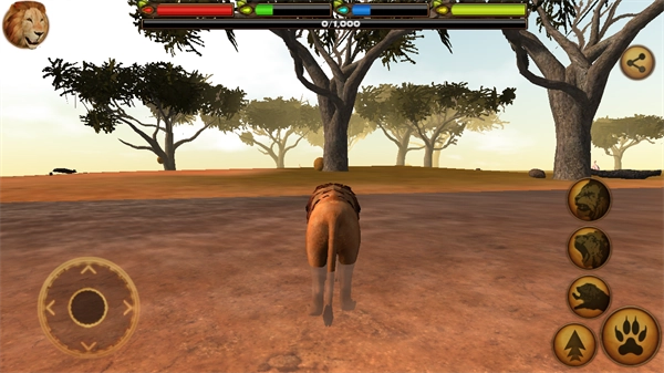 终极狮王模拟器正版-图2