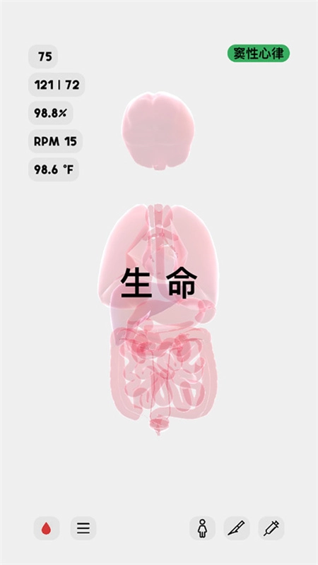 life生命模拟器截图3