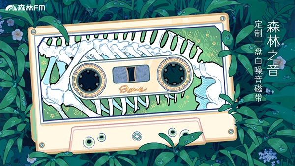 森林电台图4