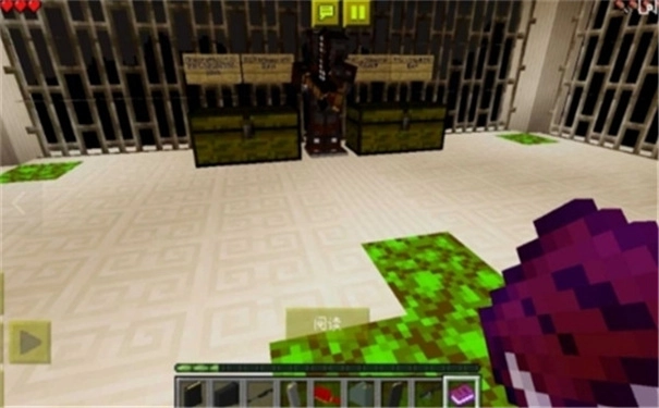 我的世界畸变100天(2)