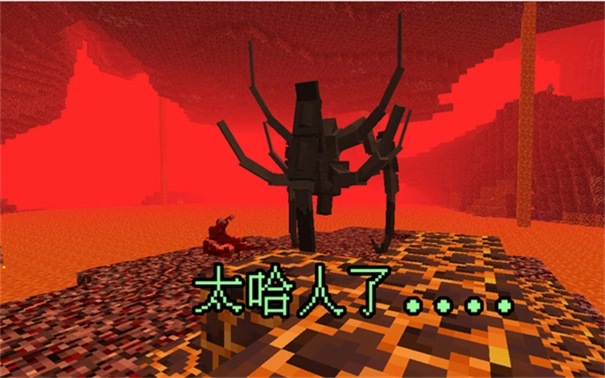 我的世界畸变100天(3)