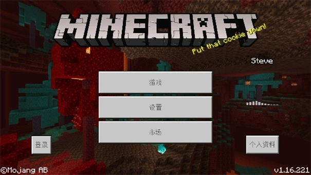 我的世界畸变100天(1)