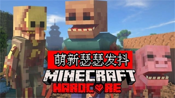 我的世界畸变100天(4)