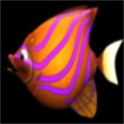 大鱼吃小鱼变态版