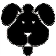 磁力狗搜索引擎