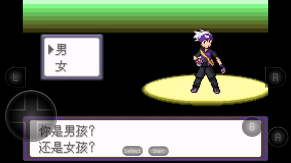 口袋妖怪漆黑的魅影1