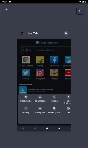 Safari浏览器安卓版图1