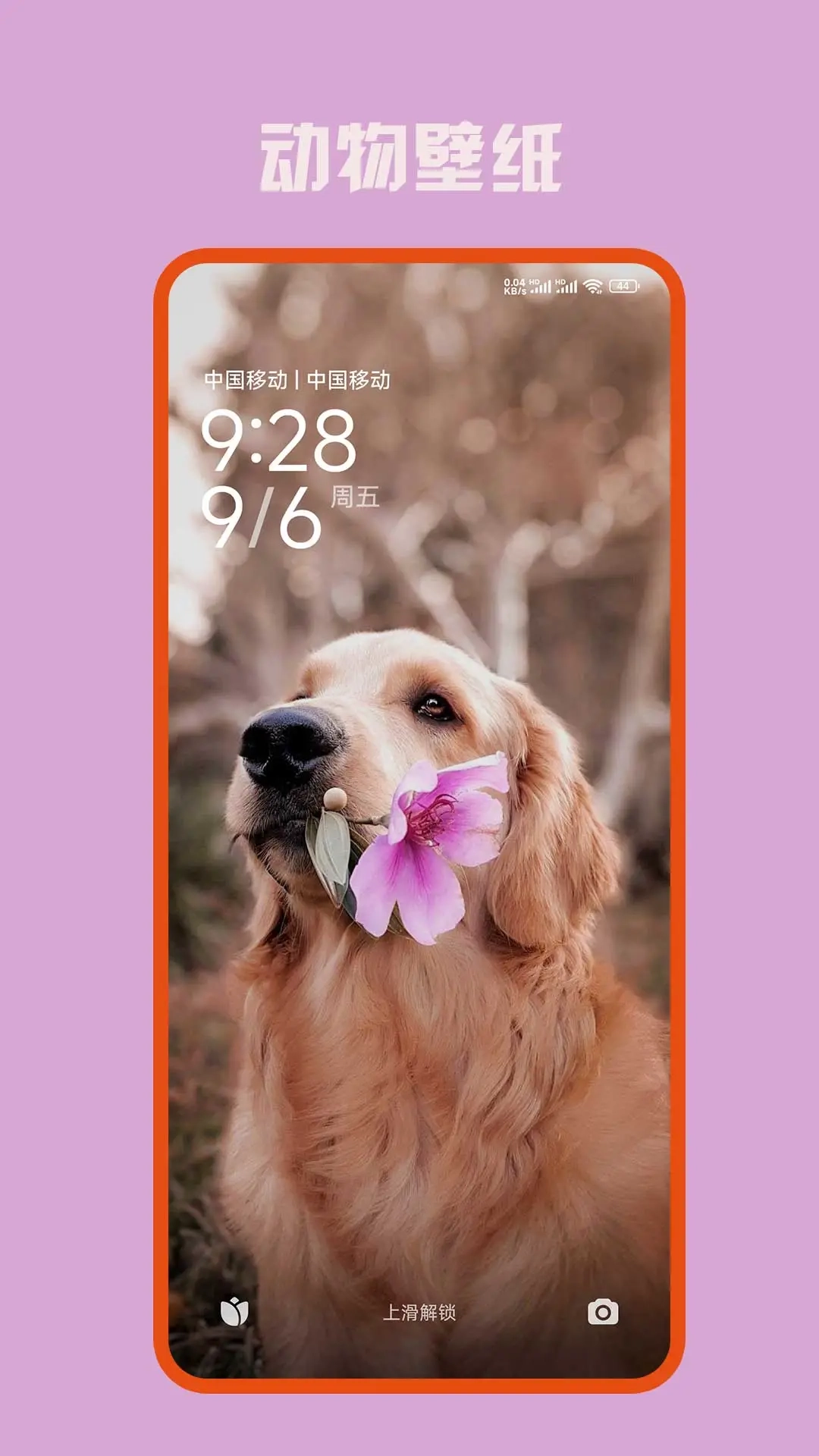 口袋免费壁纸图3
