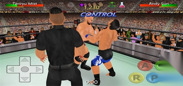 摔角革命3d圖3