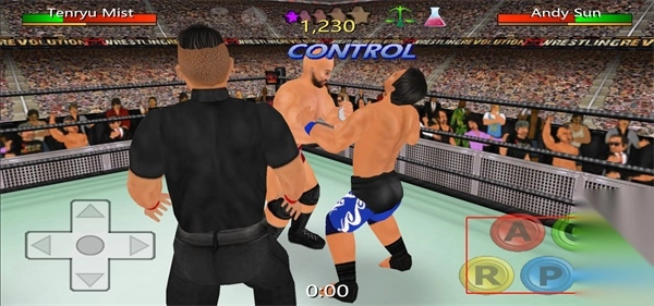 摔角革命3d圖4