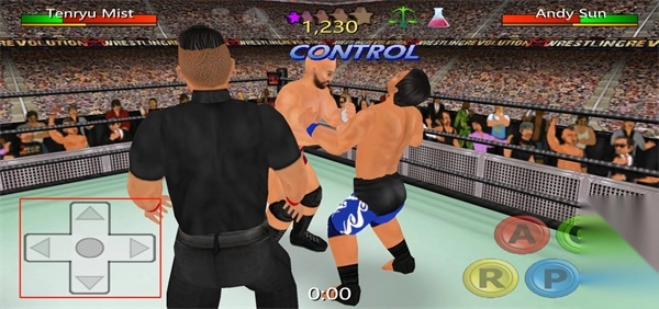 摔角革命3d圖5