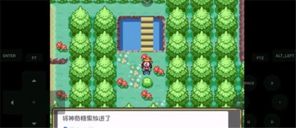 口袋妖怪娘化版截图2