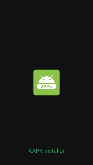 xapk安装器图1