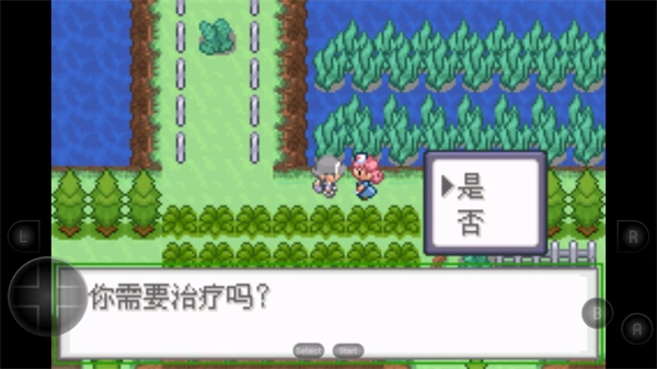 口袋妖怪生与死