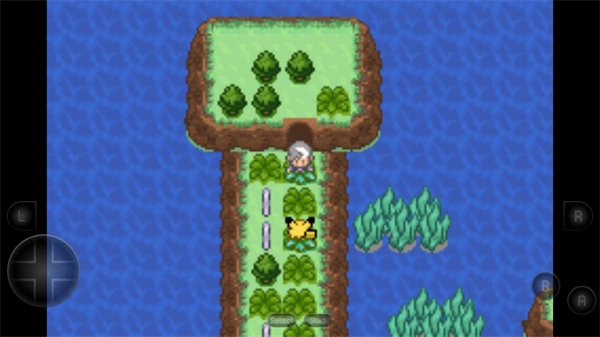 口袋妖怪生与死