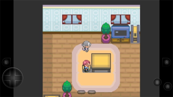 口袋妖怪生与死