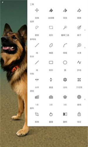 Painter安卓版图1