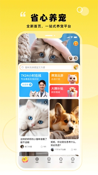 宠胖胖手机版图2