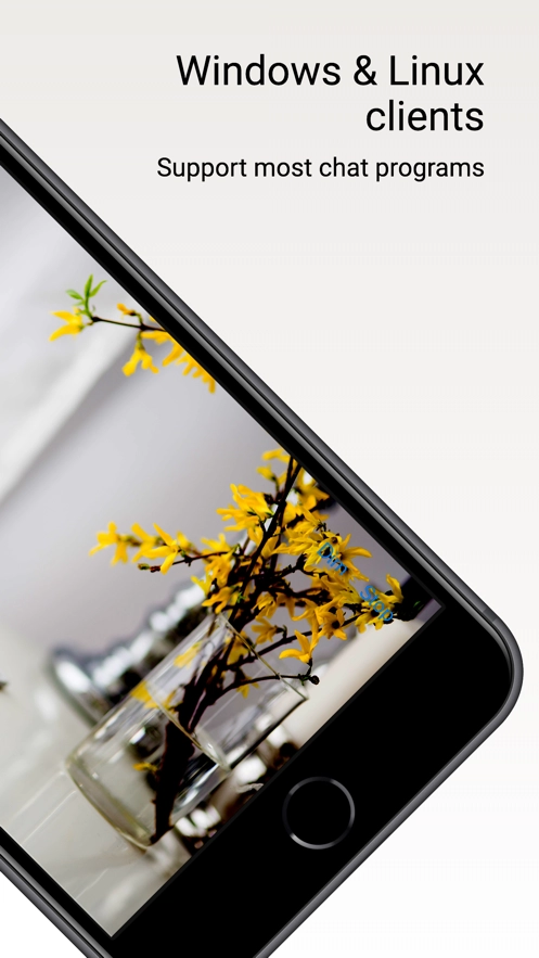 DroidCam安卓版图3