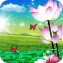 荷花唯美动态壁纸