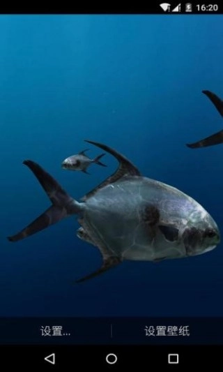 3D深海鲸鱼梦象动态壁纸