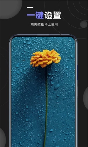 个性壁纸大全图4