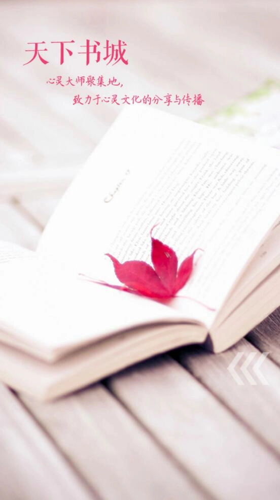 天下书城手机版图1