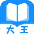 大王书城