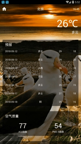 闪电虎天气预报截图3