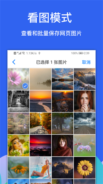 Alook浏览器最新版截图2