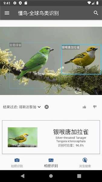 懂鳥全球圖2