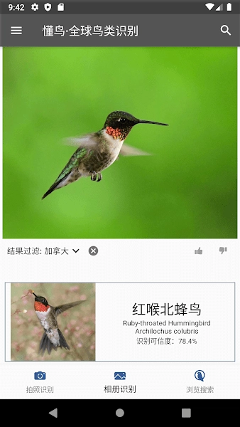 懂鳥全球圖4