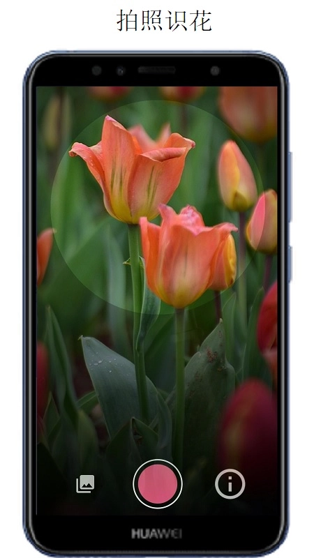 萬物識(shí)別掃一掃圖2