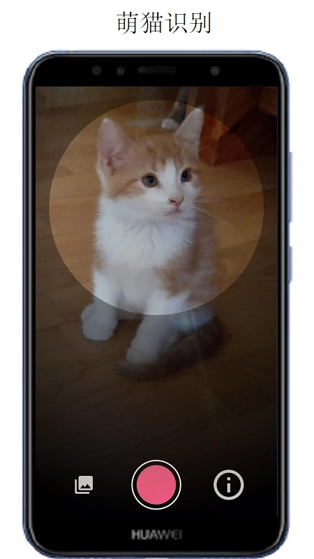 萬物識(shí)別掃一掃圖3