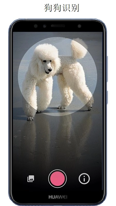 萬物識(shí)別掃一掃圖4